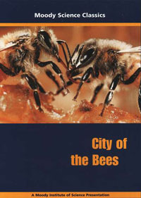 DVD City of the Bees