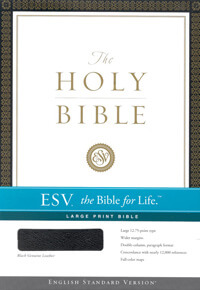 ESV Large Print Bible Black Genuine Leather