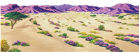 Desert Overlay - small #4205