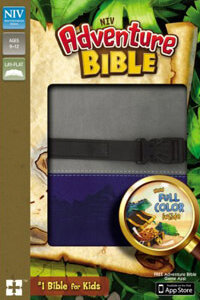 NIV Adventure Bible clip closure Gray/Blue (Full Color Thru