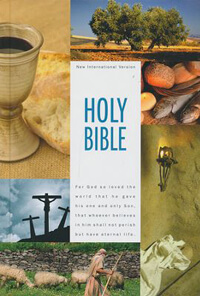 NIV Textbook Edition Bible