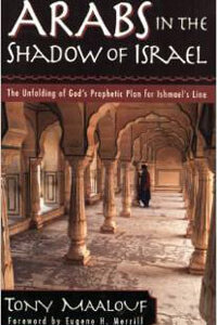 Arabs in the Shadow of Israel
