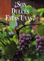 Tract: SPANISH JUSTAMINUTE Are These Grapes Sweet?