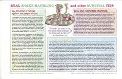 Chart Real Snake Handling