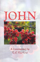 John A Commentary (EPI)