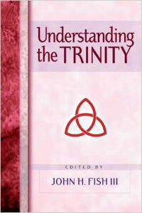 Understanding The Trinity  ECS